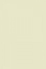 FARROW AND BALL GREEN GROUND NO. 206 PAINT